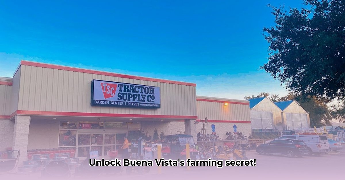 tractor-supply-buena-vista-co